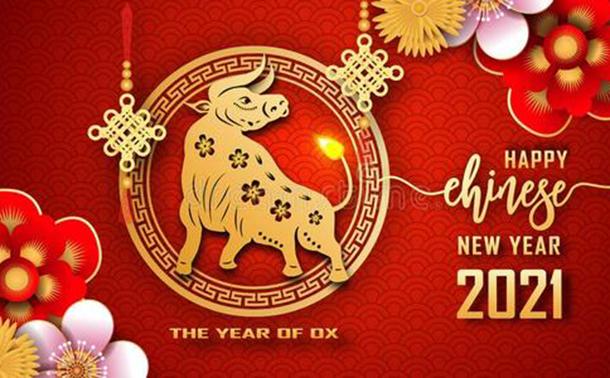 GELUKKIG CHINEES NIEUWJAAR